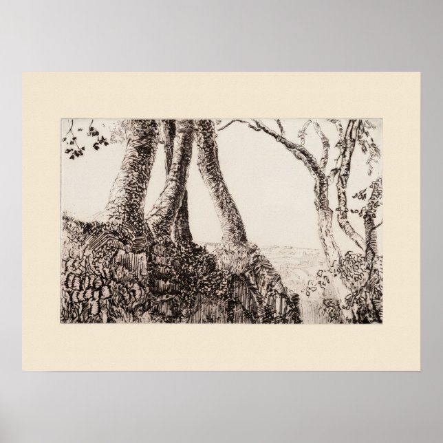 Affiche Racines d'arbre Cornwall Eleanor Hughes Réimpressi (Devant)