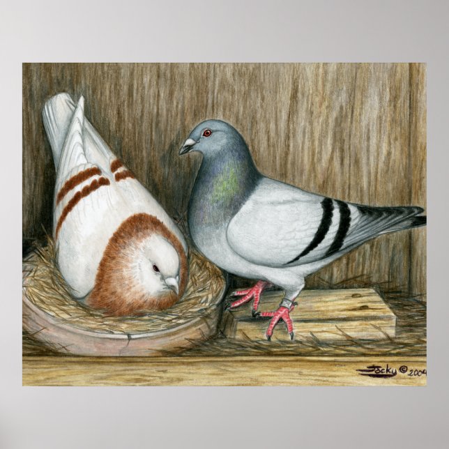 Affiche Racing Homers Home Life (Devant)