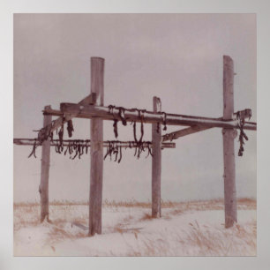 Affiche Rack De Séchage De Viande Arctique, Vieux Pt. Phot