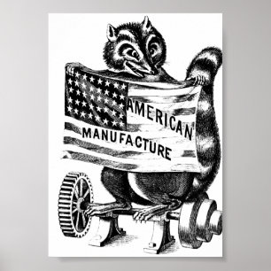 Affiche Racoon Americana Illustration d'art politique