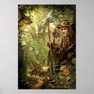 Affiche RADAGAST™ en forêt