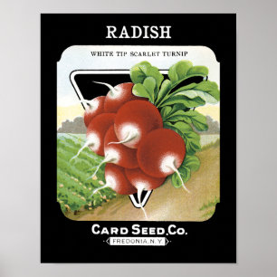 Affiche Radish Seed Packet Étiquette