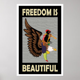 Affiche Rafraîchissant oiseaux colorés volant