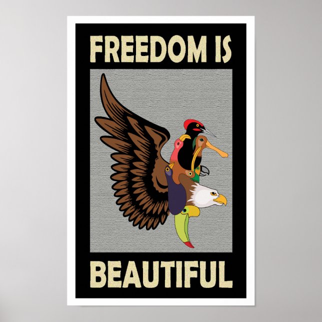 Affiche Rafraîchissant oiseaux colorés volant (Devant)