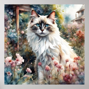Affiche Ragdoll Chat en anglais Garden