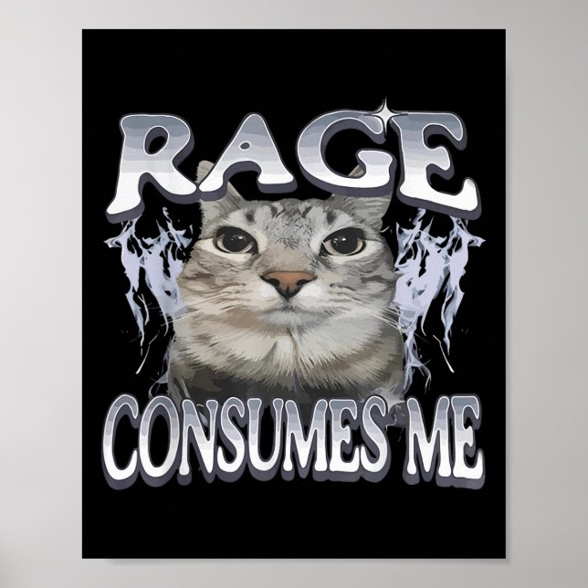 Affiche Rage Me Consume Drôle Silly Staring Cat Mème Femme (Devant)