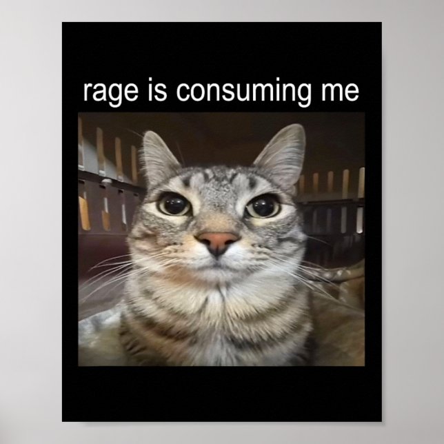 Affiche Rage Me Consume Silly Staring Cat Meme (Devant)