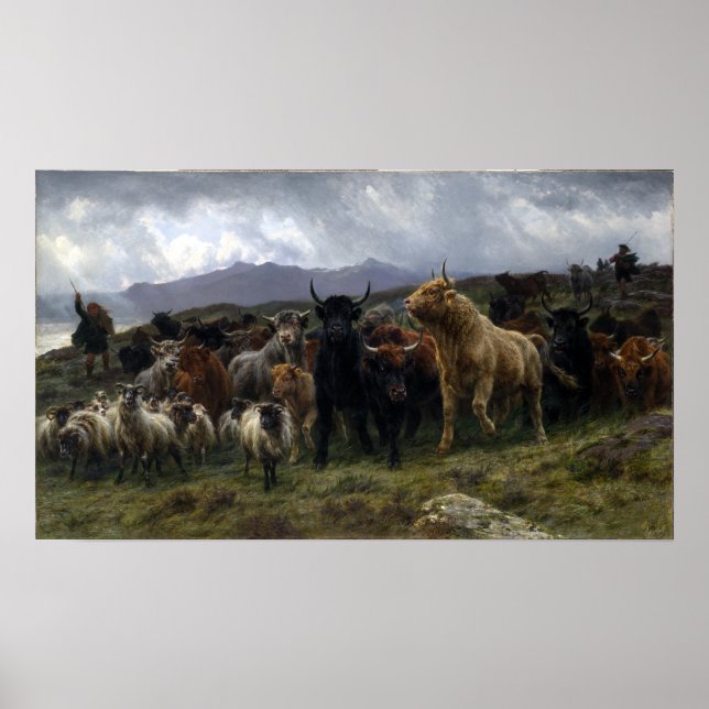 Affiche Raid Rosa Bonheur Highland (Devant)