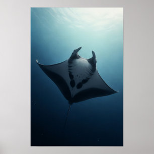 Affiche Raie Manta Glissant à Travers l'Océan Bleu Profond