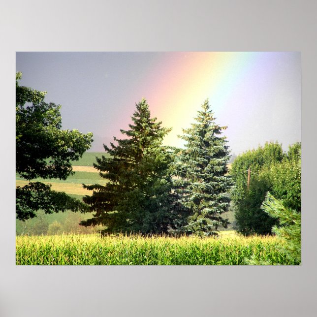 Affiche Rainbow (Devant)