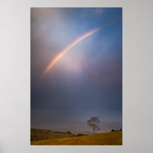 Affiche Rainbow And Tree Landscape
