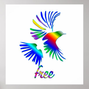 Affiche Rainbow bird