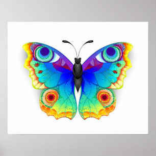 Affiche Rainbow Butterfly Peacock Eye