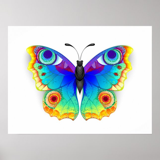 Affiche Rainbow Butterfly Peacock Eye (Devant)