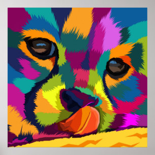 Affiche Rainbow Cheetah