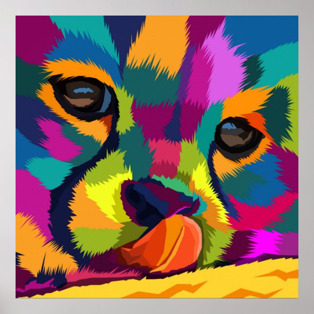 Affiche Rainbow Cheetah (Devant)