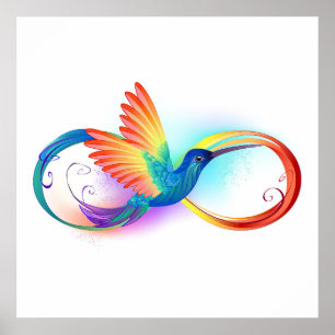 Affiche Rainbow Hummingbird with Infinity symbol
