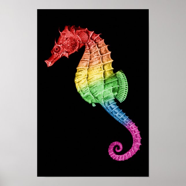 Affiche Rainbow Seahorse (Devant)