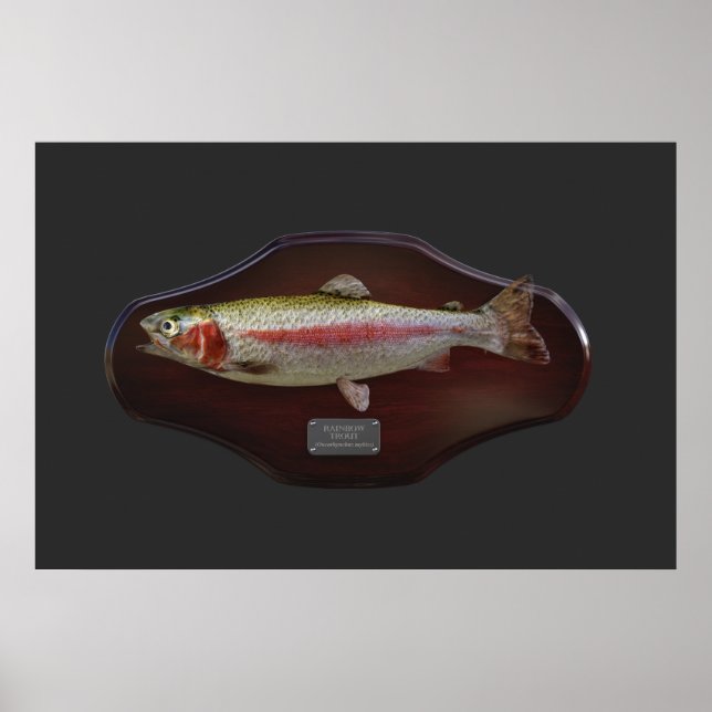 Affiche Rainbow Trout Display Plaque (Devant)