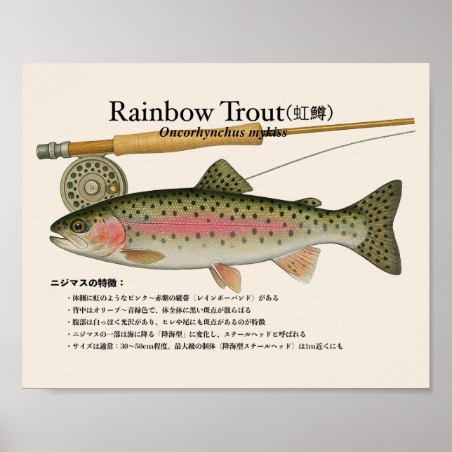 Affiche Rainbow Trout – japanese Art Print (Devant)