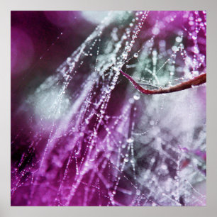 Affiche Raindrops sur Purple Cobweb Macro Abstrait