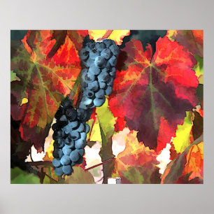 Affiche Raisins de récolte et Feuilles