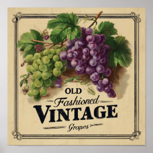 Affiche Raisins de style ancien, vin violet et noir