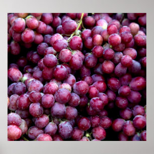 Affiche Raisins de vin rouge : Arrière - plan Luscious.