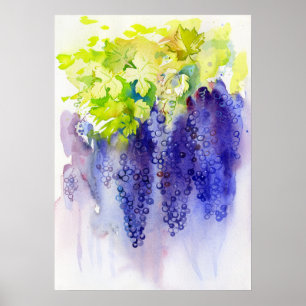 Affiche Raisins Violets Aquarelle Vignoble Cuisine