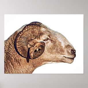 Affiche Ram Sheep Visage Ferme Animaux Nature Art