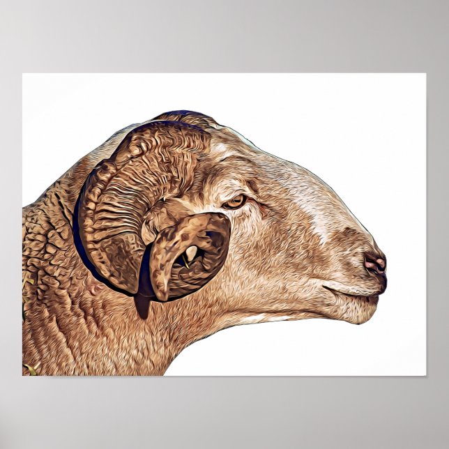 Affiche Ram Sheep Visage Ferme Animaux Nature Art (Devant)
