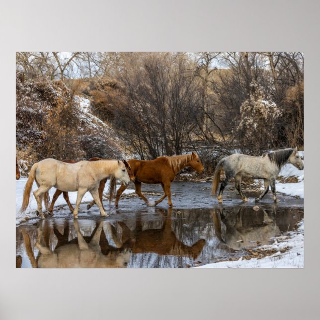 Affiche  Ranch du cheval Hideout (Devant)