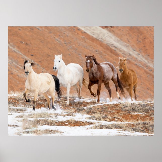Affiche  Ranch Hideout avec petit troupeau de chevaux dans (Devant)