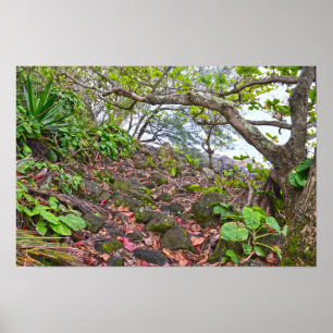 Affiche Randonnée sur le sentier Kalalau, côte de Napali,