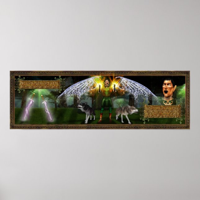 Affiche Ranger De Tunare (Devant)