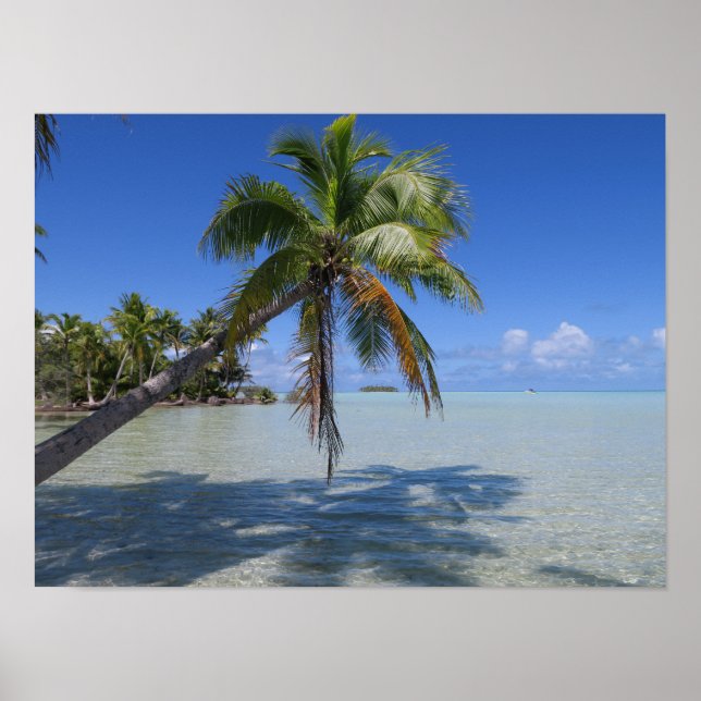 Affiche Rangiroa Blue Lagoon Palm Tropical (Devant)