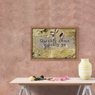 Affiche Rapidement venir rapidement aller inspiration post