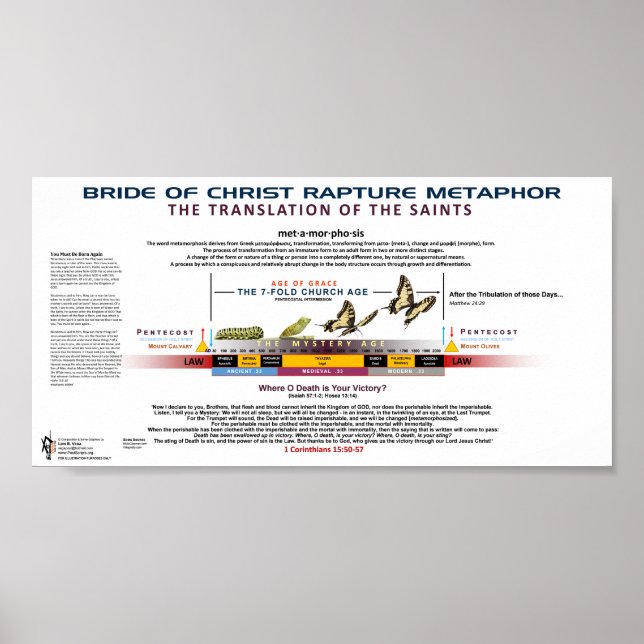 Affiche Rapidité - Métamorphose de l'âge de l'église (Devant)