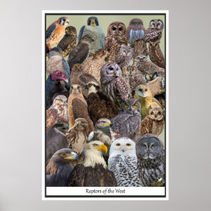 Affiche Rapporteurs de l'Ouest