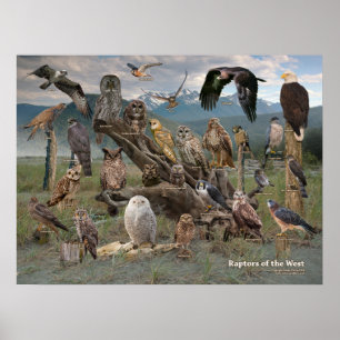 Affiche Rapporteurs de l'Ouest 2019