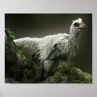 Affiche Raptor avec plumes