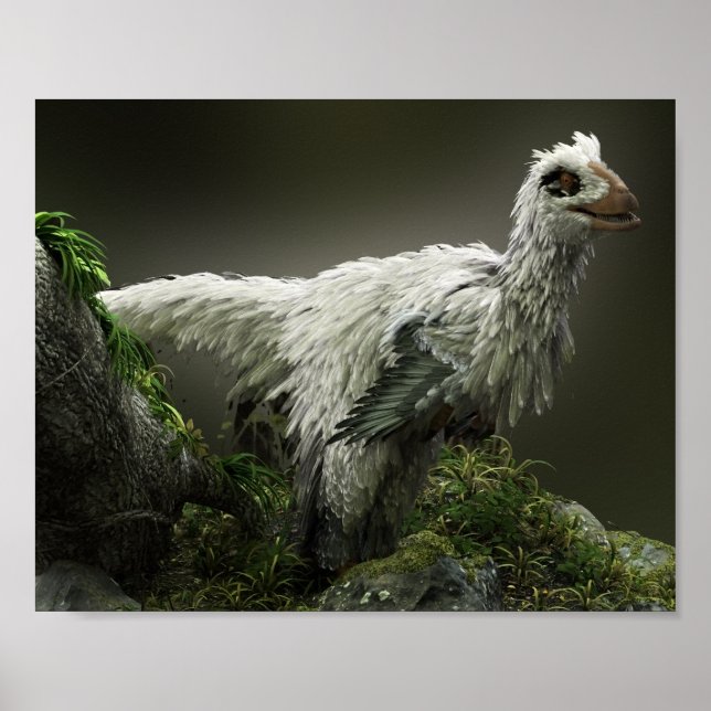 Affiche Raptor avec plumes (Devant)