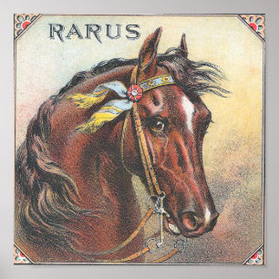 Affiche Rarus Vintage Racehorse Portrait