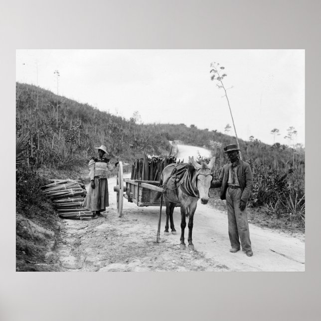 Affiche Rassemblement sisal, Nassau, Îles Bahama, c1900 (Devant)