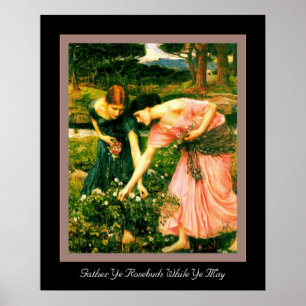 Affiche Rassembler Ye Rosebuds
