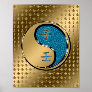 Affiche Rat d'eau