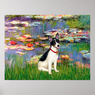 Affiche Rat Terrier - Lys 2