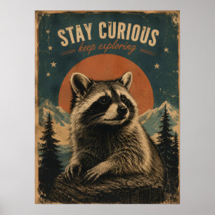 Affiche Raton laveur curieux vintage 