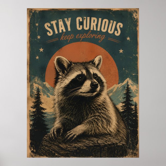 Affiche Raton laveur curieux vintage  (Devant)