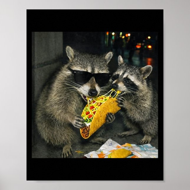 Affiche Raton laveur mangeant un taco drôle de nourriture  (Devant)